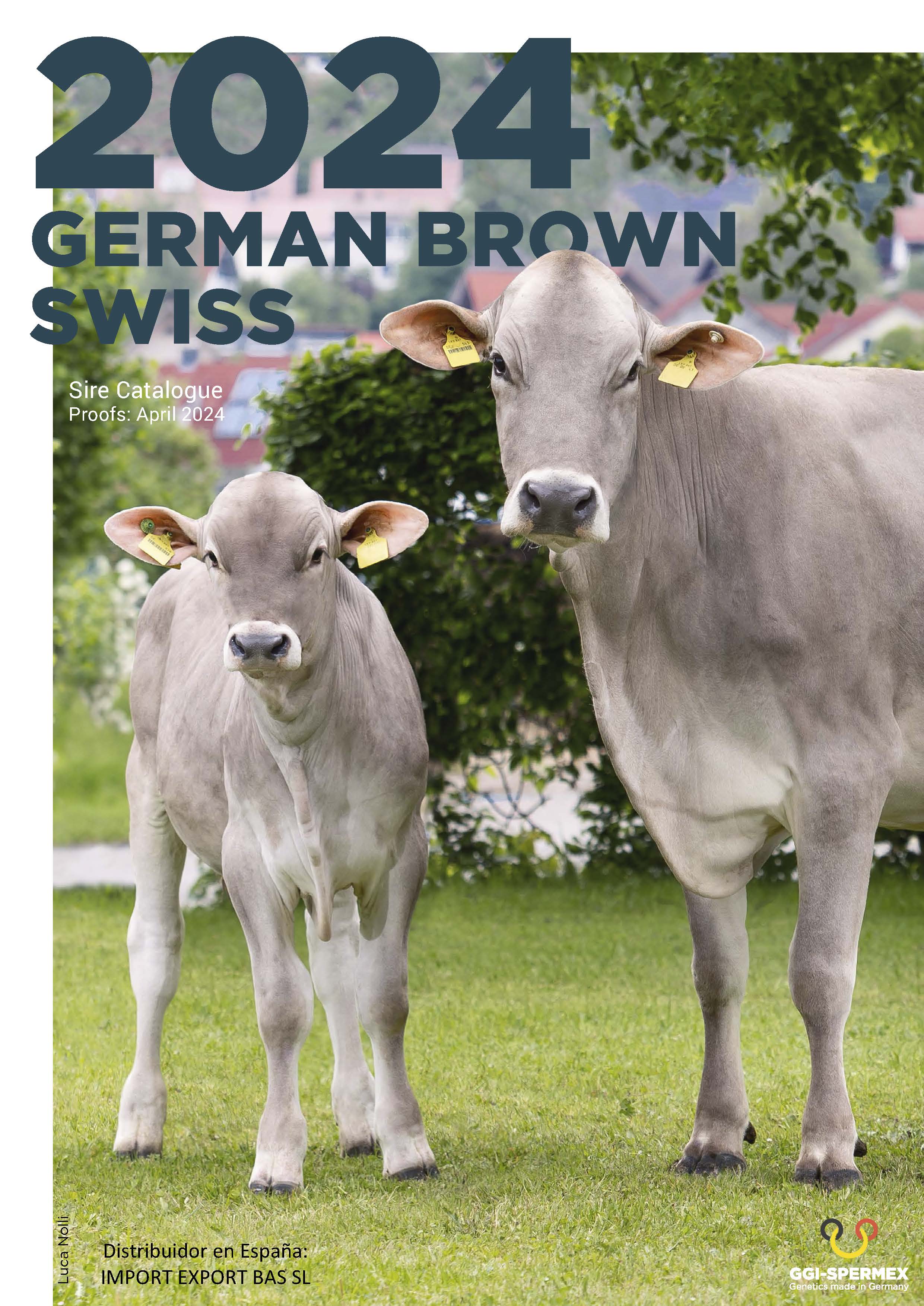 BAS·GGI - SPERMEX - CATALOGO BROWN SWISS 2024